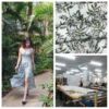 Dongguan Women's wear factory Shuttle printing Dress Processing Small single custom Plans to sample Boutique processing