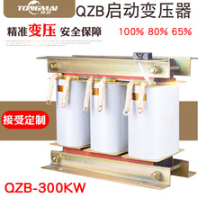 ׃QZB-300KW p80%65%ә 늙Cˮý׃