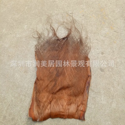 natural Brown clothing Brown hair Bag pipes Palm Roof decoration Brown hair Villas' bark