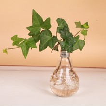 悬挂灯泡玻璃花瓶复古装饰水培花器生态瓶绿植水培花器客厅摆件