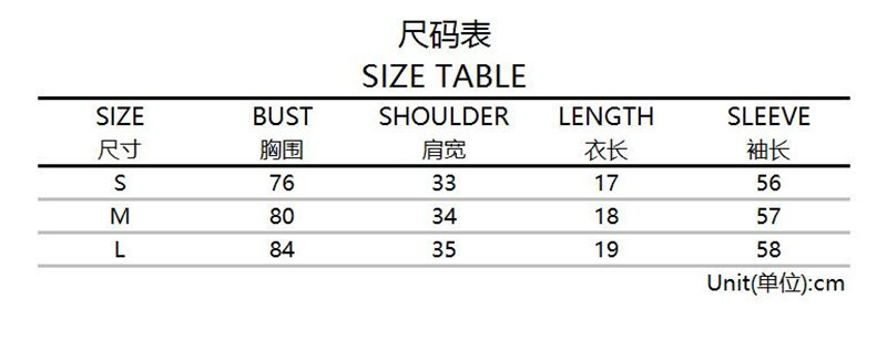 Embroidered Pullover Image 1