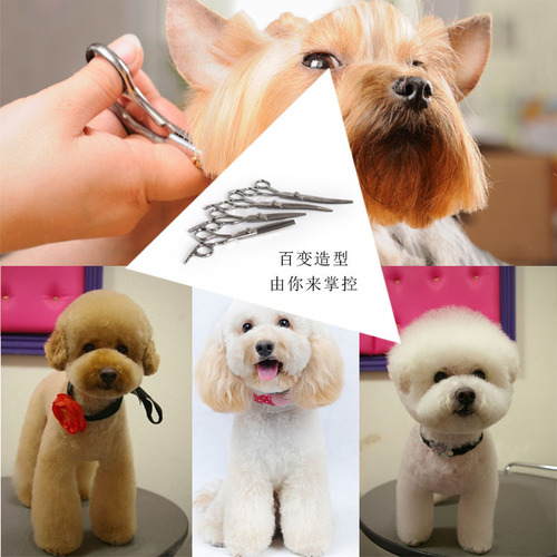 Pet Grooming Scissors 7-inch Curved Scissors/Flip Scissors/Straight Scissors/Dental Scissors Dual-Sided Two-Use Scissors