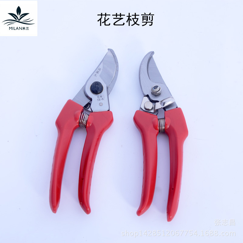 Tijeras de podar de rama de flor Rama de jardín Rama de flor/Tijeras de jardinería Tijeras de rama de flor Tijeras de arreglo floral Materiales de embalaje de flores