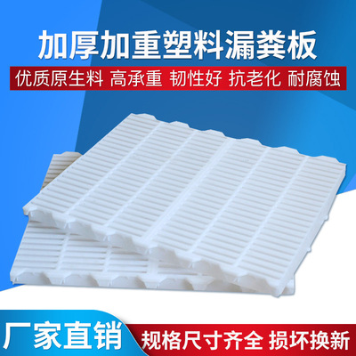 塑料漏粪板母猪产床漏粪板仔猪保育床扣板育肥猪板子养猪设备器械