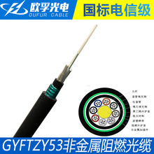 GYFTZY53光缆 gyftzy53-6b1非金属阻燃重铠地埋直埋光缆 防鼠咬