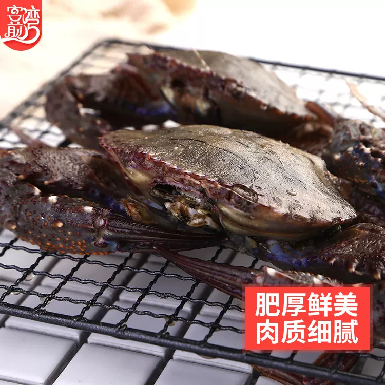 黑蟹 东山海鲜海捕大螃蟹500g 【爱心鱼满舱一件代发直播】