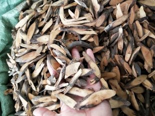 ������ș��С�~�F�����֦ ������ ������ ÿ��500��