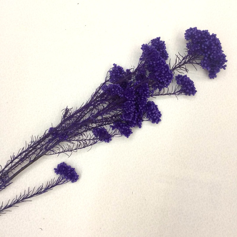 微信图片_20180126225640_副本