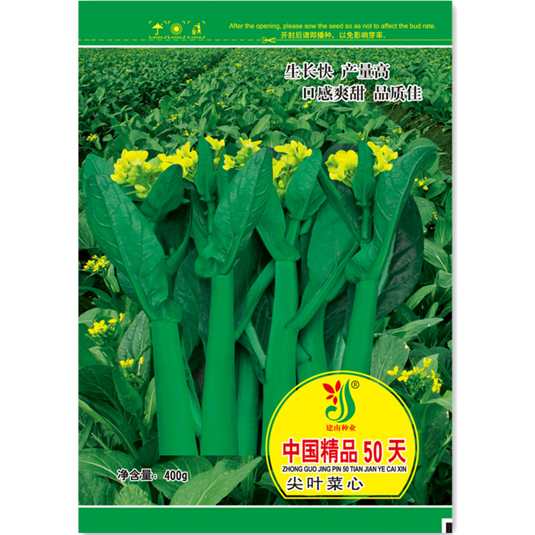 蔬菜种子公司批发 中国精品50天尖叶菜心种子 油青甜菜心种子