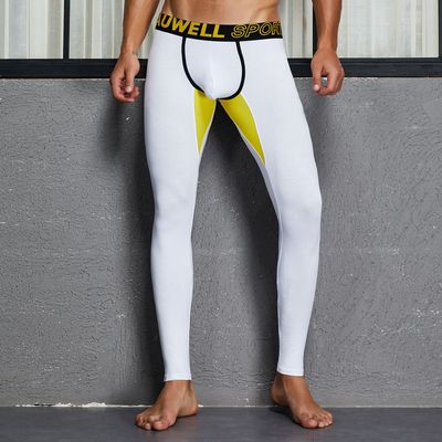 秋冬新款男士纯棉秋裤 tauwell特为 男式打底裤厂家批发 男秋裤