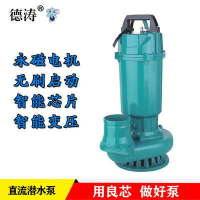 德涛 直流潜水泵 无刷3寸48V 60V通用电动车直流泵园林 农田灌溉|ru