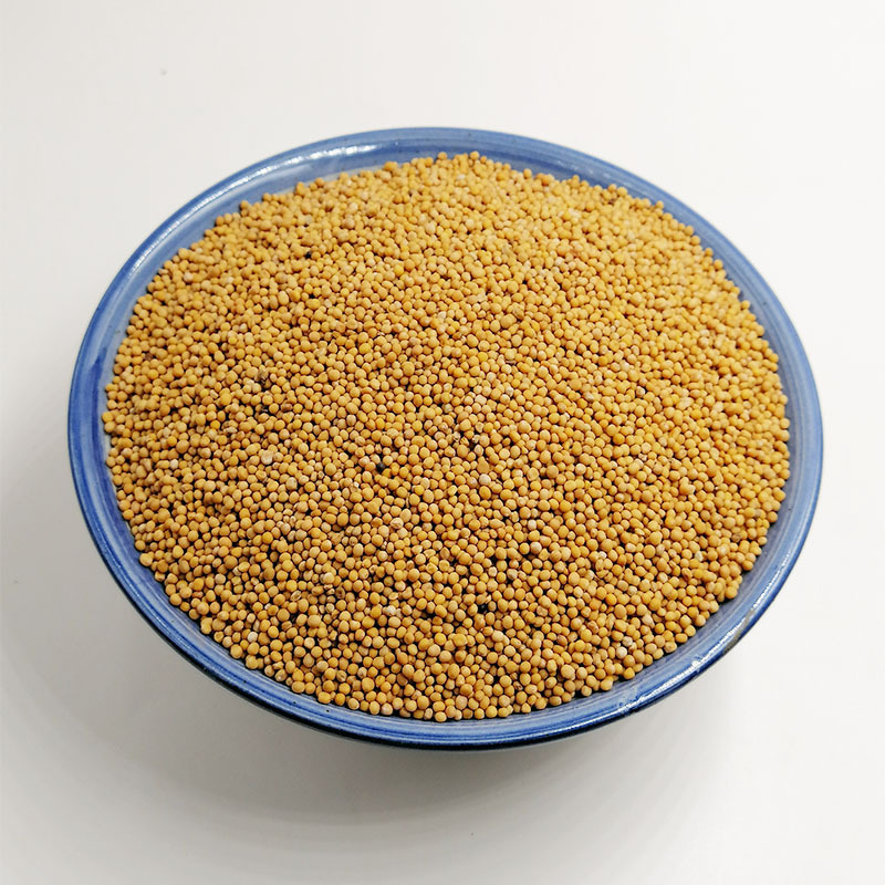 批发供应芥子 白芥子芥菜籽 生白芥籽另有炒白芥籽 1000g|ru