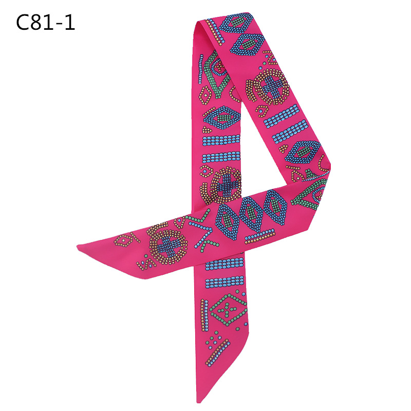 C81-1 (1)