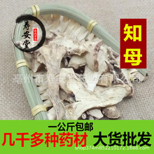 ��ș�����l֪ĸƬ Ұ����؛ë֪ĸ�o�����֪ĸһ������]