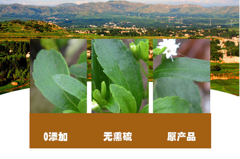 Stevia Leaf (Stevia rebaudiana) — Dried Sweet Herb, Loose Leaf 500g quality and texture
