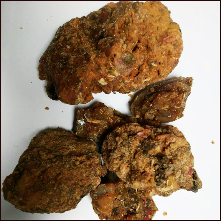 中藥材臭阿魏五彩臭阿魏新疆阿魏釣魚餌料批發各種中藥材量大從優