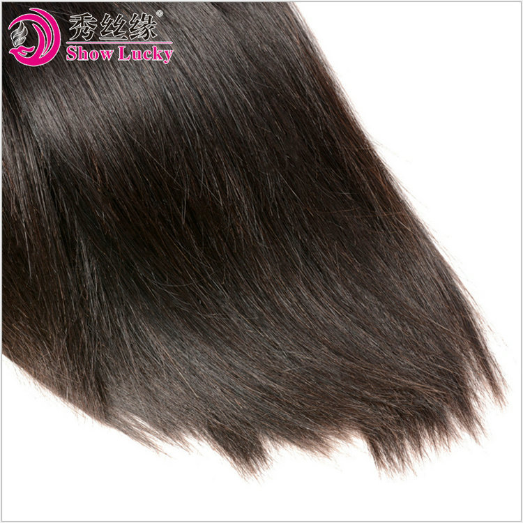 Brazilian Human Hair Extension Straight Bundles With Closure