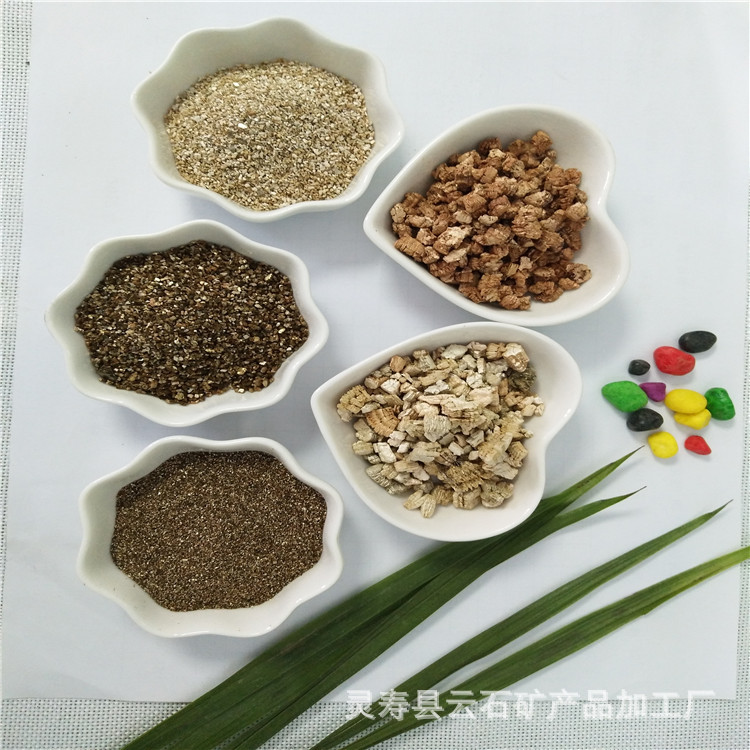 IMG_20180721_091259_副本