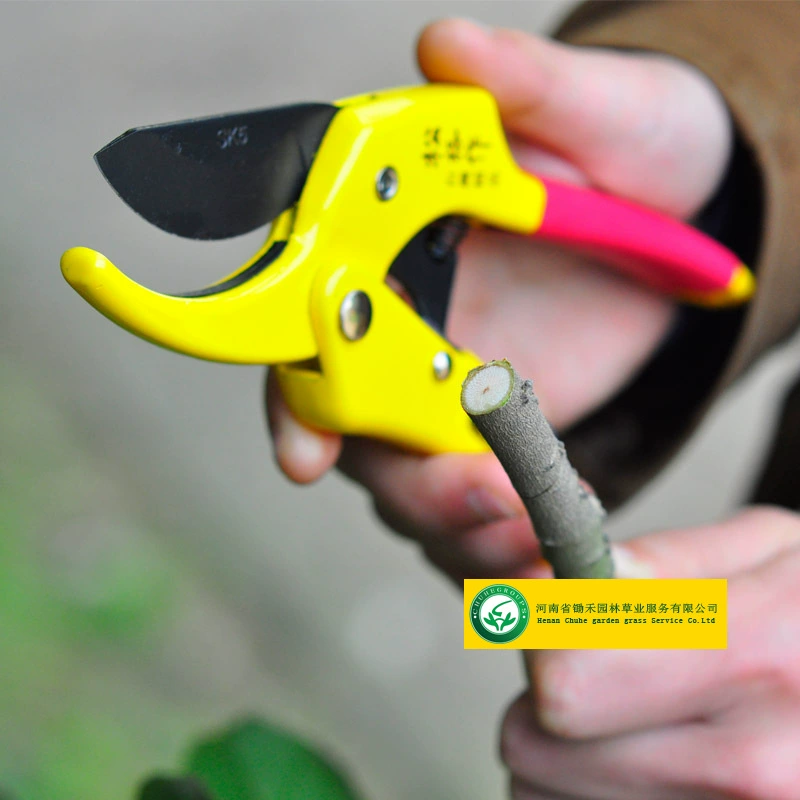 Тайваньские секаторы серии аксессуаров свободная сетка для ручных ножниц свободные ножницы для резки сетчатых бутонов SG-39 ножницы со шкивами SG-32 производители