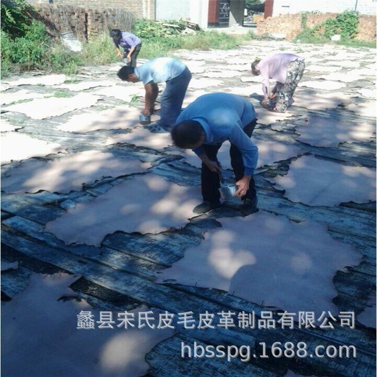 QQ图片20180311085415