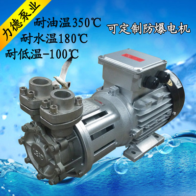 High temperature pump 350 ℃,Stainless steel High temperature pump High temperature magnetic pump LEAD