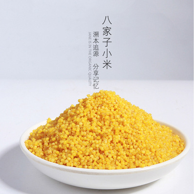 东北黑龙江特产有机黄小米2018年农625g粟谷物小米粥