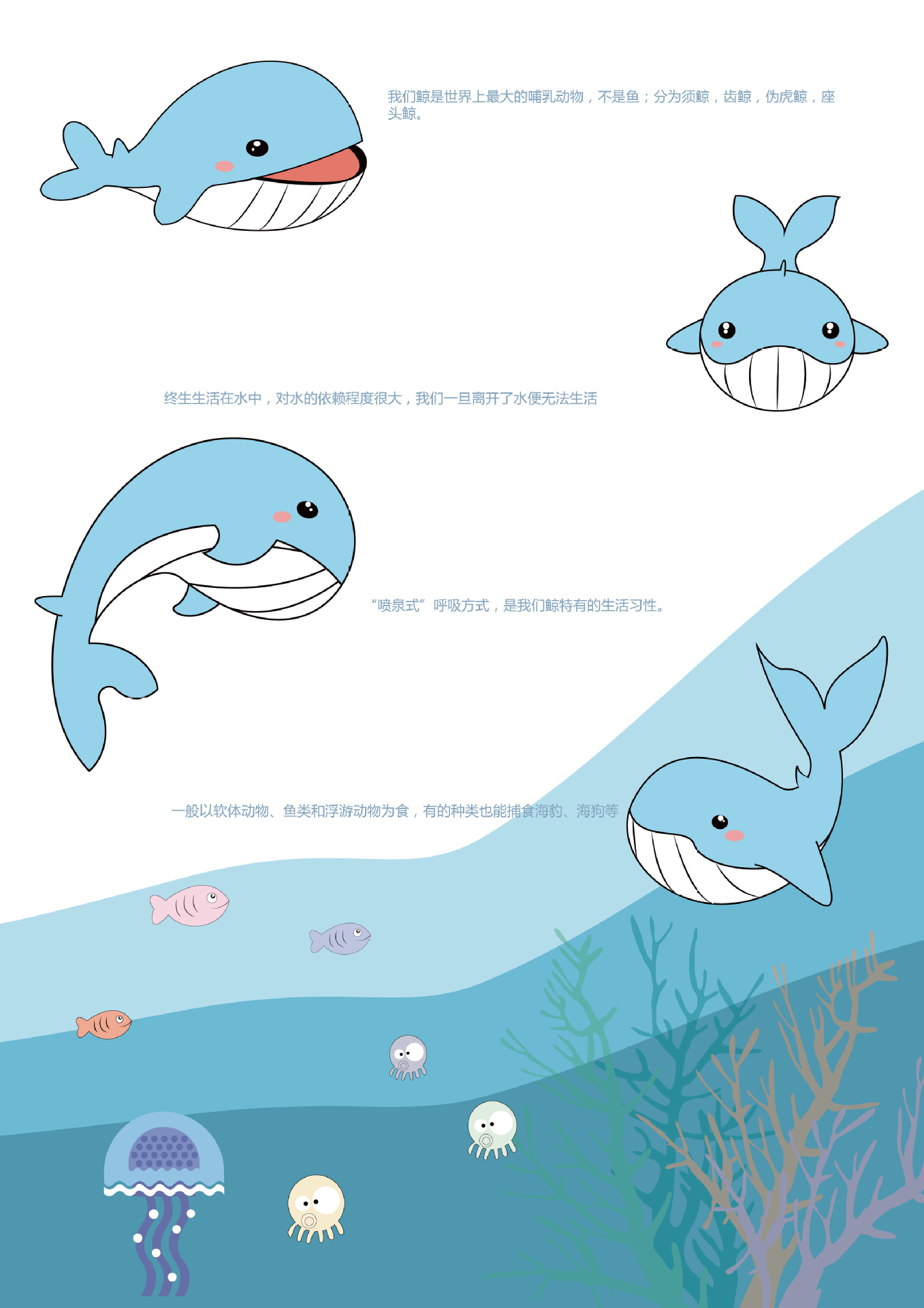 微信图片_20181108082753