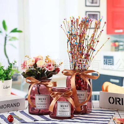 新款北欧摆件宽口透明水培玻璃小花瓶干花插花瓶玻璃迷你花瓶家居