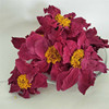 Wholesale peony flower drying peony flowers high -quality S -class peony flowers entire strength factory direct selling flower tea wholesale