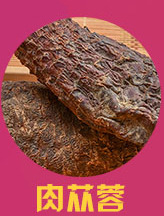 Sang Huang (Sanghuangporus sanghuang) — Wild Northeast Mulberry Yellow Fungus, Food-Herb Mushroom for Cooking overview