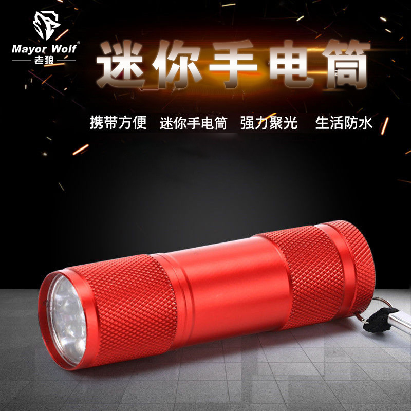 厂家批发 9灯led手电筒 户外照明便携带小手筒 电子礼品定制LOGO|ru