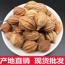 �������ɳ�� ��ɰ ��ɳ�� �Ĵ��خa �����u���{��500g