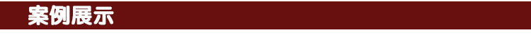 案例展示