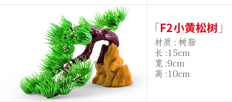xq249 F2 small yellow pine tree.jpg