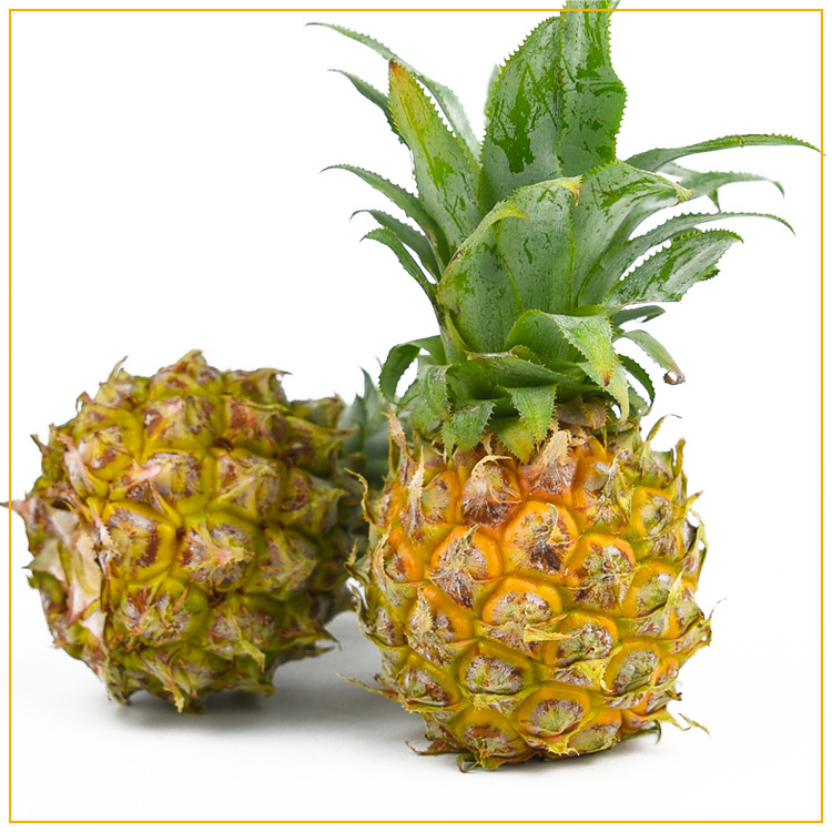 Thailand Breed Perfume pineapple Season fresh fruit Phuket Pineapple Send Pineapple Knife