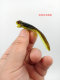 Floating Frogs Fishing Lures Soft Plastic Baits Fresh Water Bass Swimbait Tackle Gear