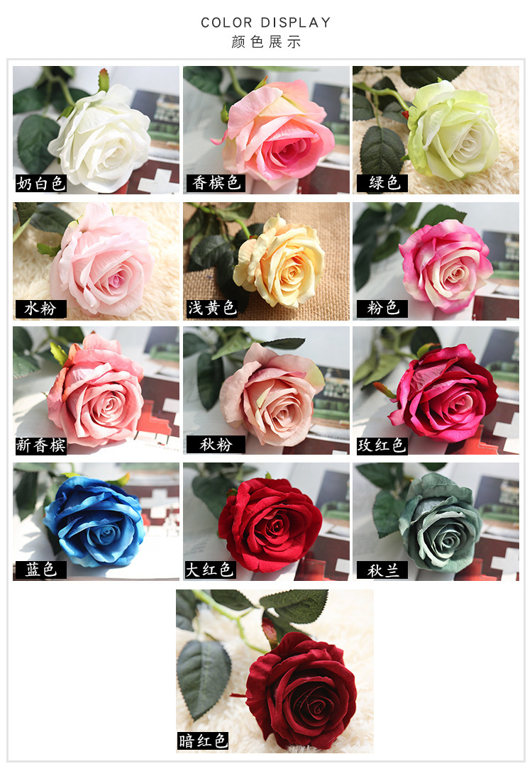 8512611306_1245478559