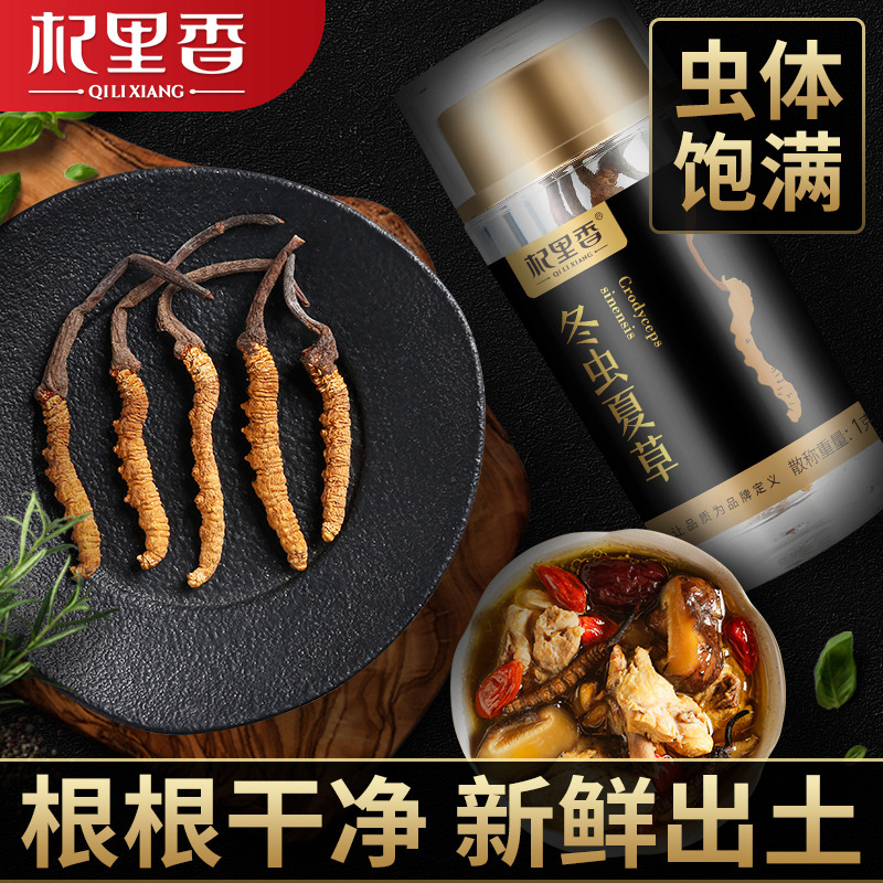 [Qi Li Xiang]Nagqu Cordyceps Cordyceps Cordyceps Yushu 1g5 root