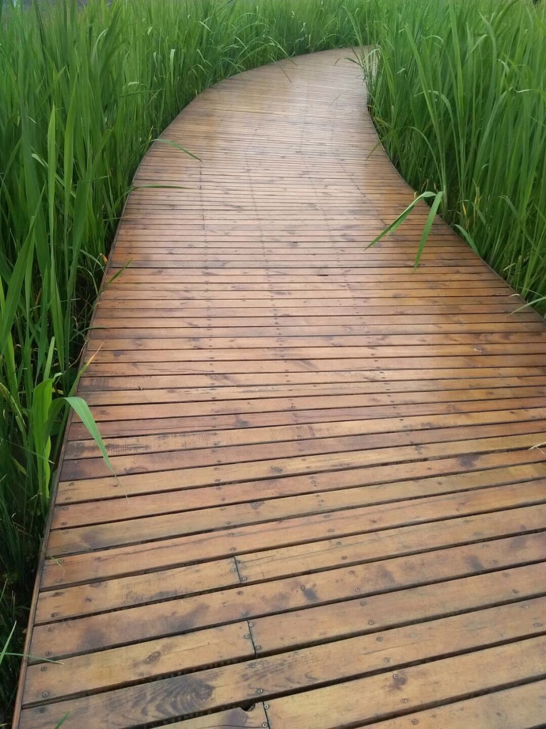 乡间小路 品牌制造商:鸿林坊 乡间小路 品牌制造商:鸿林坊