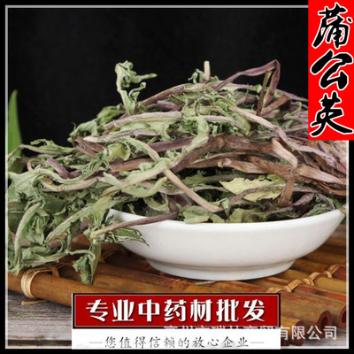 Dandelion Changbai Whole plant dandelion Dandelion tea Large cargo supply Large favorably
