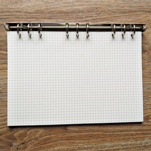 Dowling paper loose-leaf refill porous multi-specification notepad loose-leaf square refill loose-leaf notebook