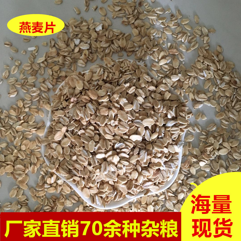 厂家直销优质粮食燕麦农家自产五谷杂粮批发散装粗粮燕麦片