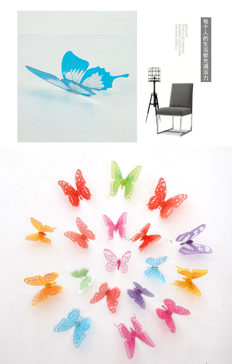 蝴蝶_15.jpg