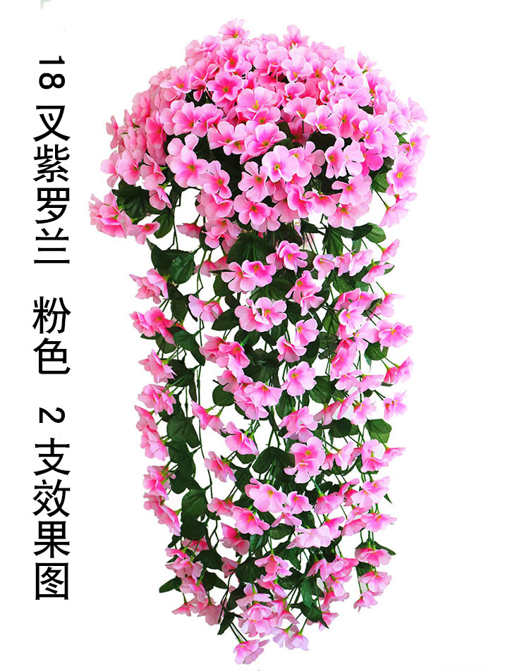 18叉紫罗兰 粉色