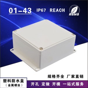 01-43可定制塑料仪器箱防尘防水箱仪表箱多功能手提器材安全箱