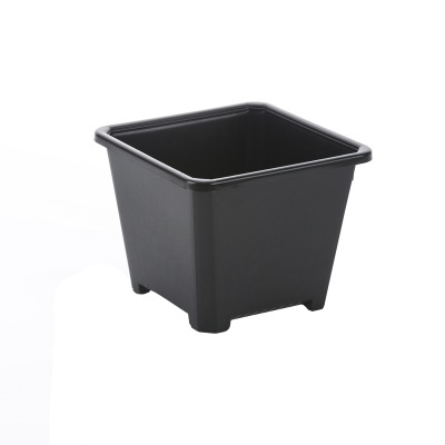 TB2Eam6tVXXXXaXXXXXXXXXXXXX_!!