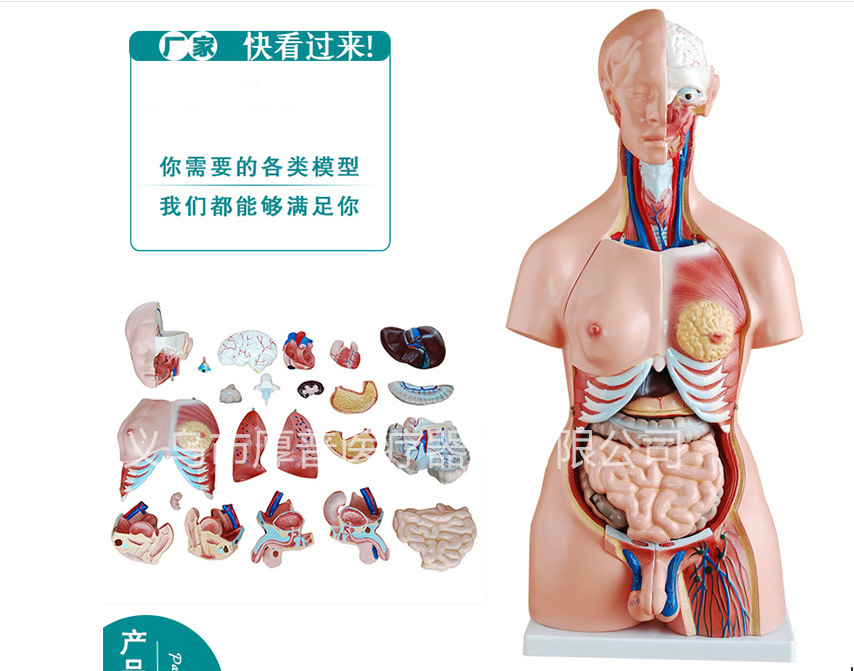 微信图片_20180726163311_副本_副本