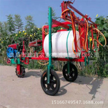 СșC״șCʡ˹rșOF؛ֱNٶȿ