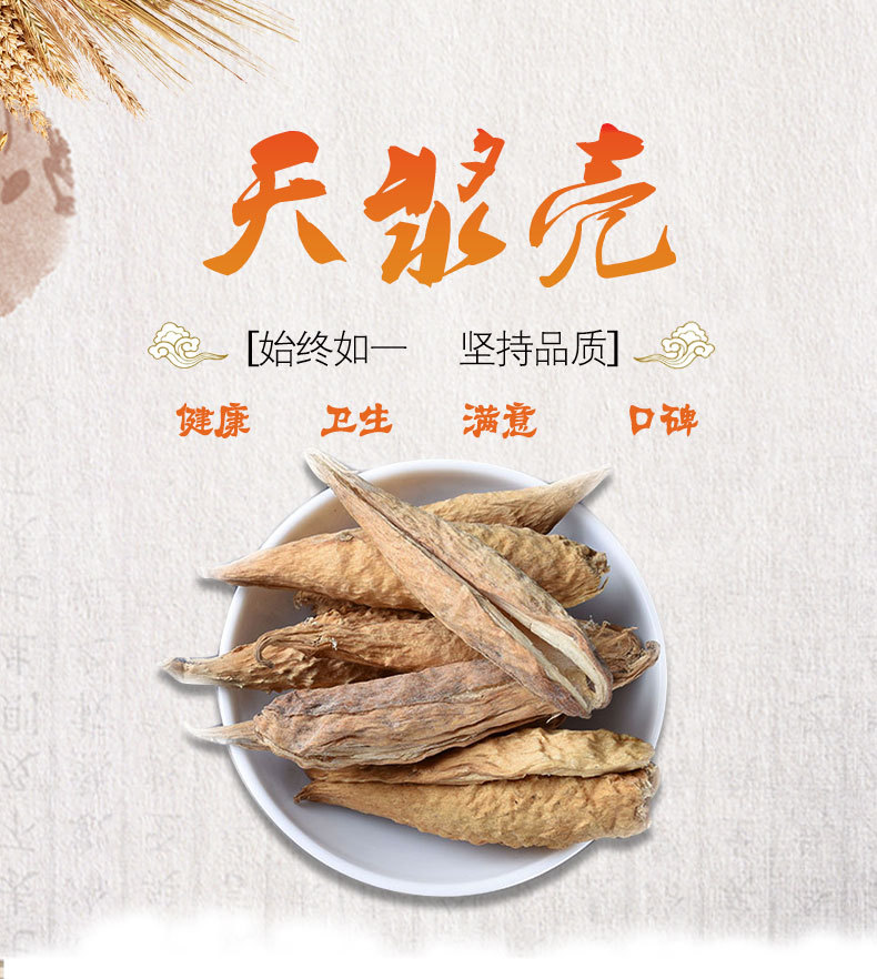 Tian Jiang Ke (Metaplexis japonica) — Dried Fruit Shell, Traditional Herbal Decoction Piece overview