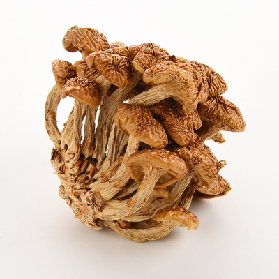 Origin accusing Dried mushroom 500g Slippery Mushroom Furuta mushroom Native farm